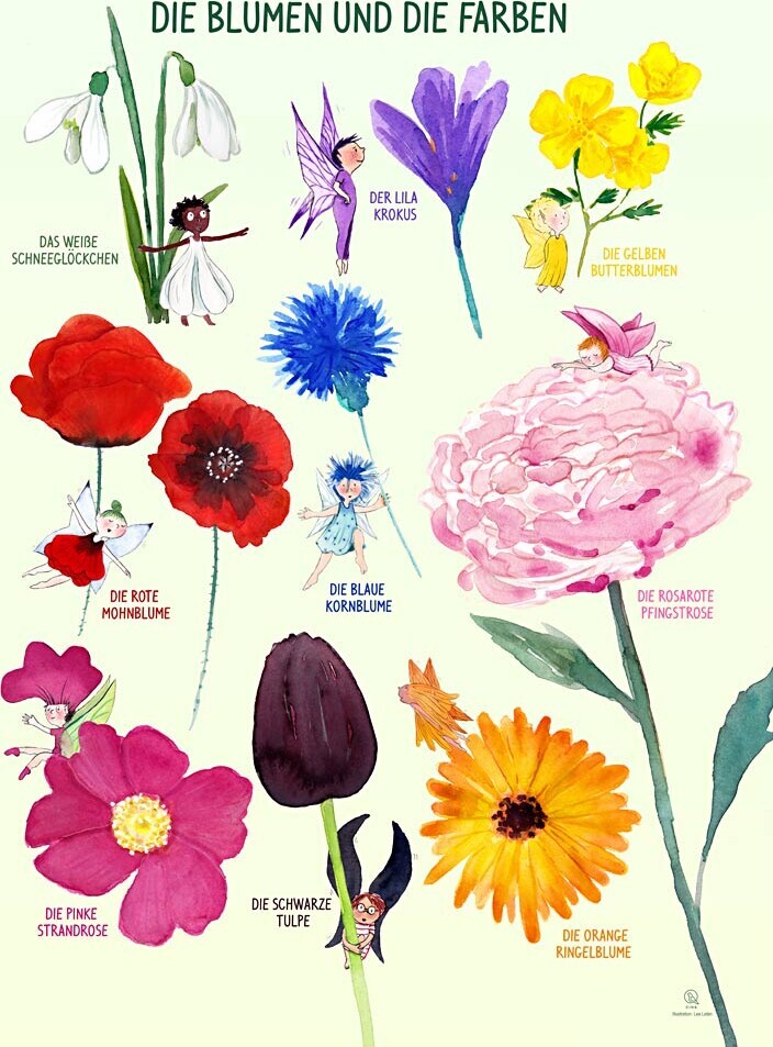 Plakat - Farverne Og Blomsterne - Str. 50x70 Cm - De - 1 Stk. - Ciha