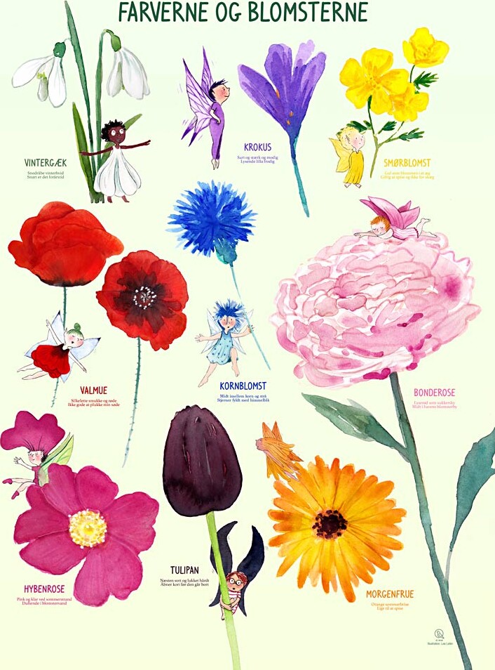 Plakat - Farverne Og Blomsterne - Str. 50x70 Cm - Dk - 1 Stk. - Ciha