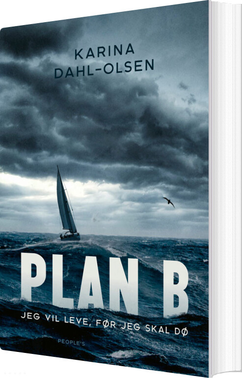 Plan B - Karina Dahl-olsen - Bog