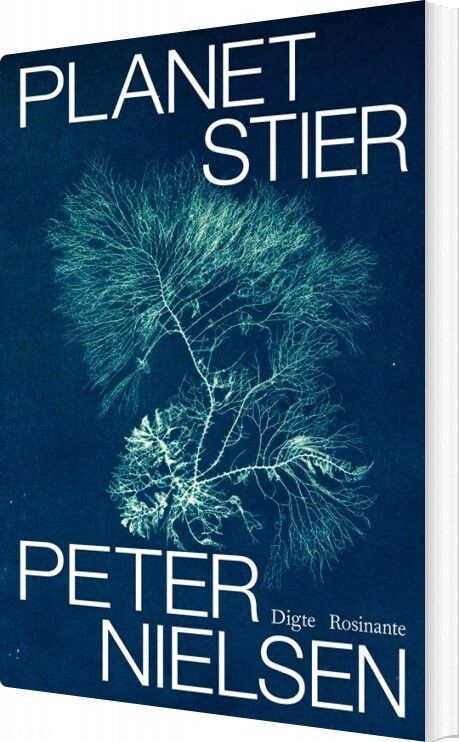 Billede af Planetstier - Peter Nielsen - Bog