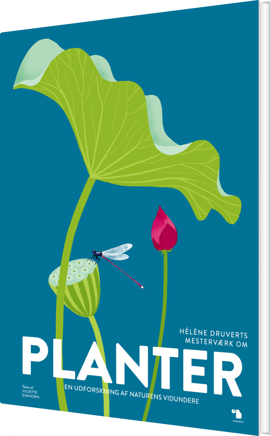 Billede af Planter - Hélène Druvert - Bog