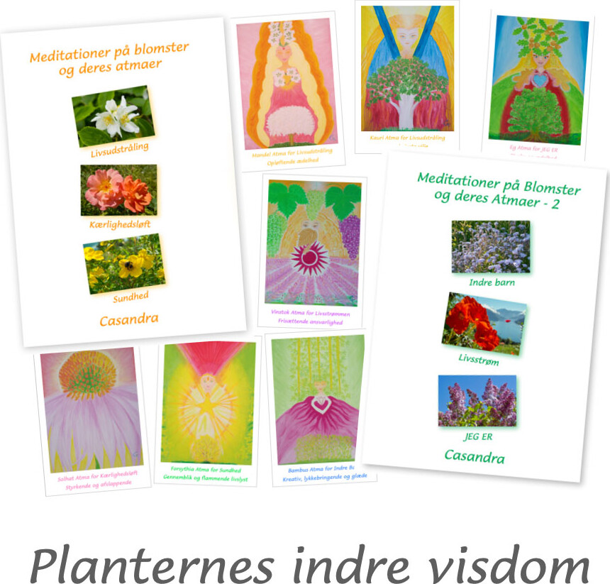 Billede af Planternes Indre Visdom - Casandra - Bog