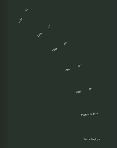 Poetic Daylight / Poetisk Daglys - Louise Grønlund - Bog