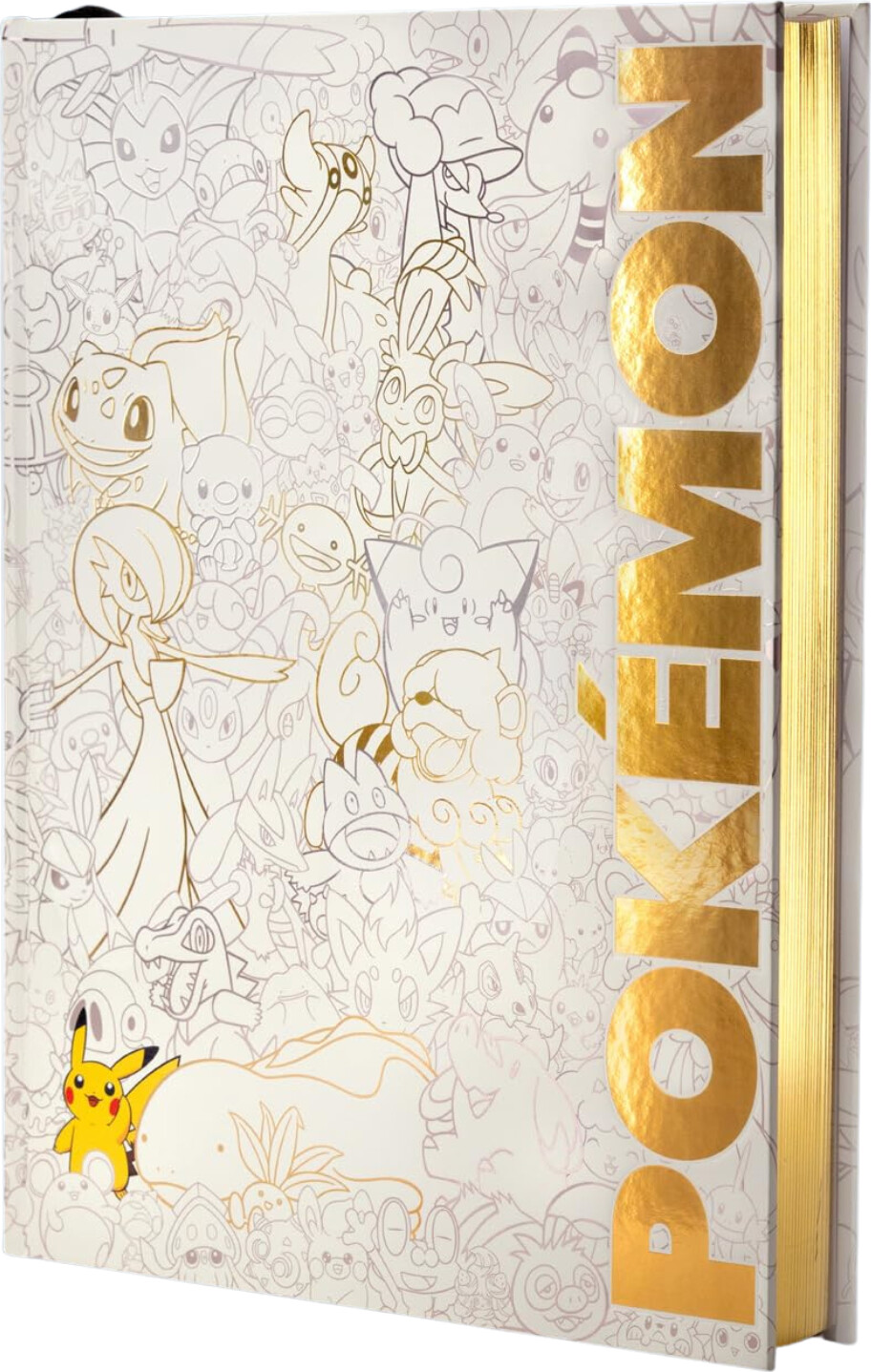 Pokemon Deluxe Character Guide - English book