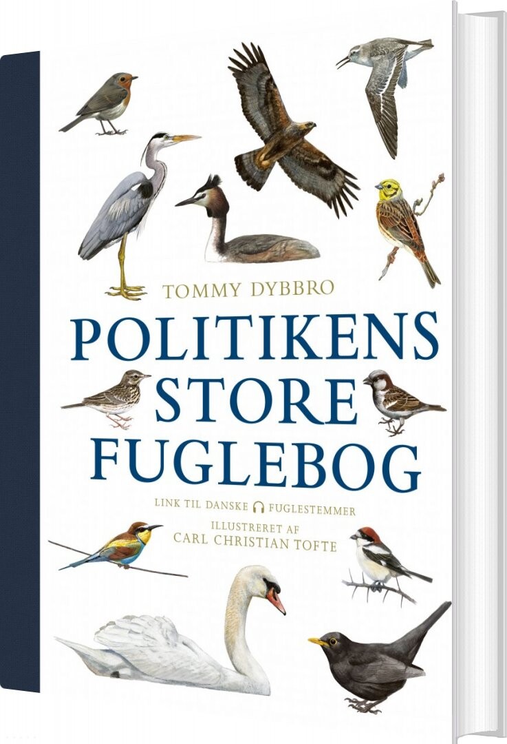 Billede af Politikens Store Fuglebog - Tommy Dybbro - Bog