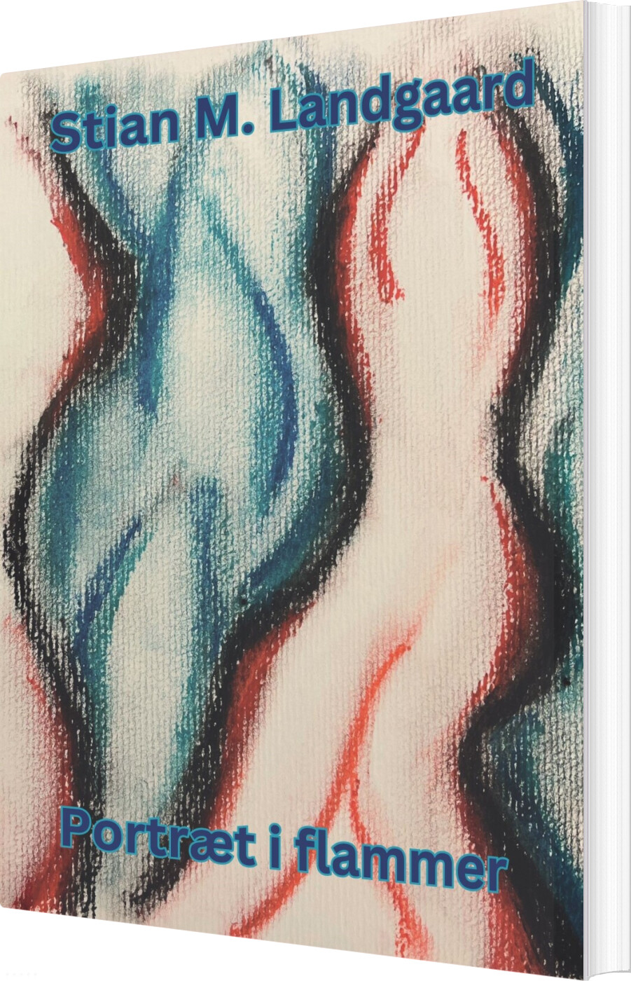 Portræt I Flammer - Stian M. Landgaard - Bog