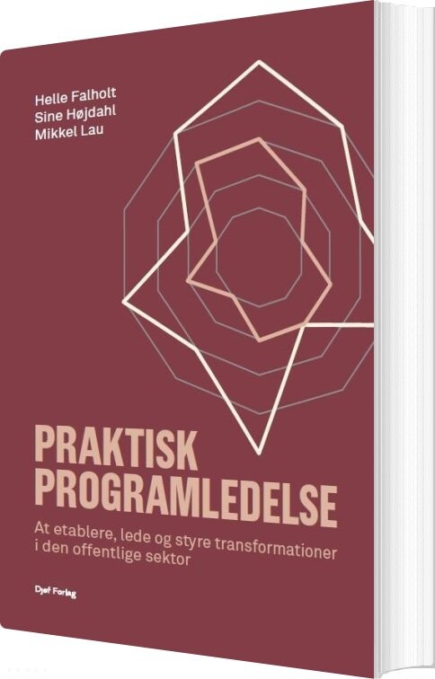 Praktisk Programledelse - Helle Falholt - Bog