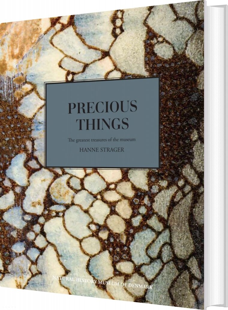 Billede af Precious Things - Hanne Strager - English Book