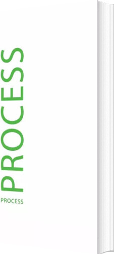 Billede af Process - Stefan Green Meinel - English Book
