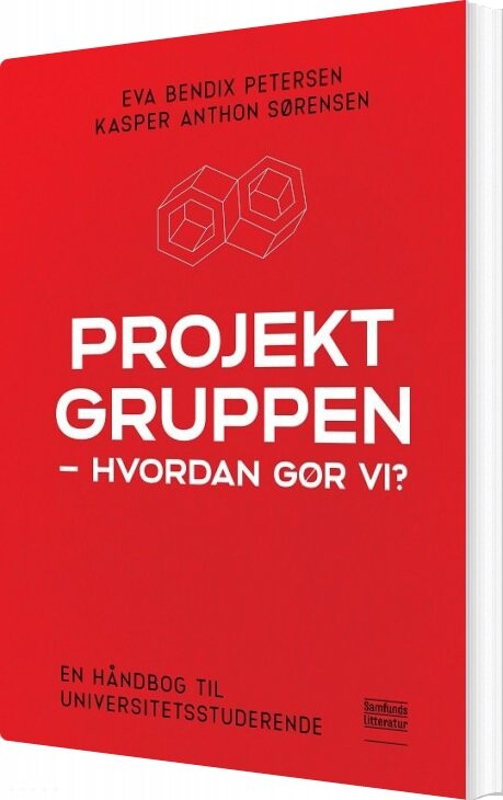 Billede af Projektgruppen - Hvordan Gør Vi? - Eva Bendix Petersen - Bog