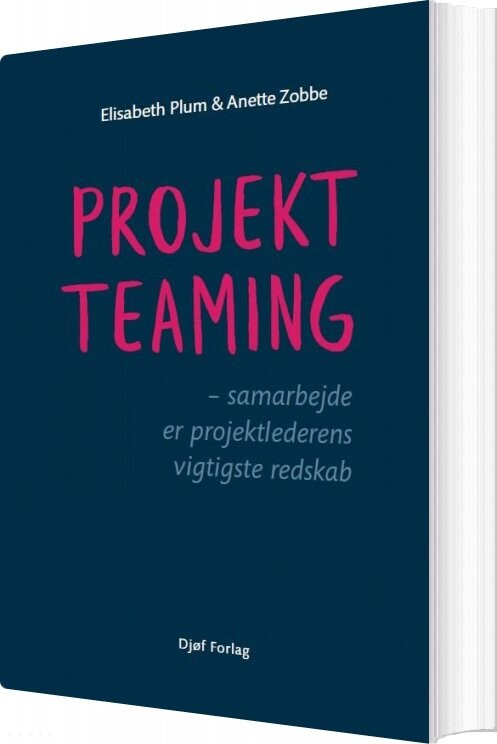 Projektteaming - Elisabeth Plum - Bog