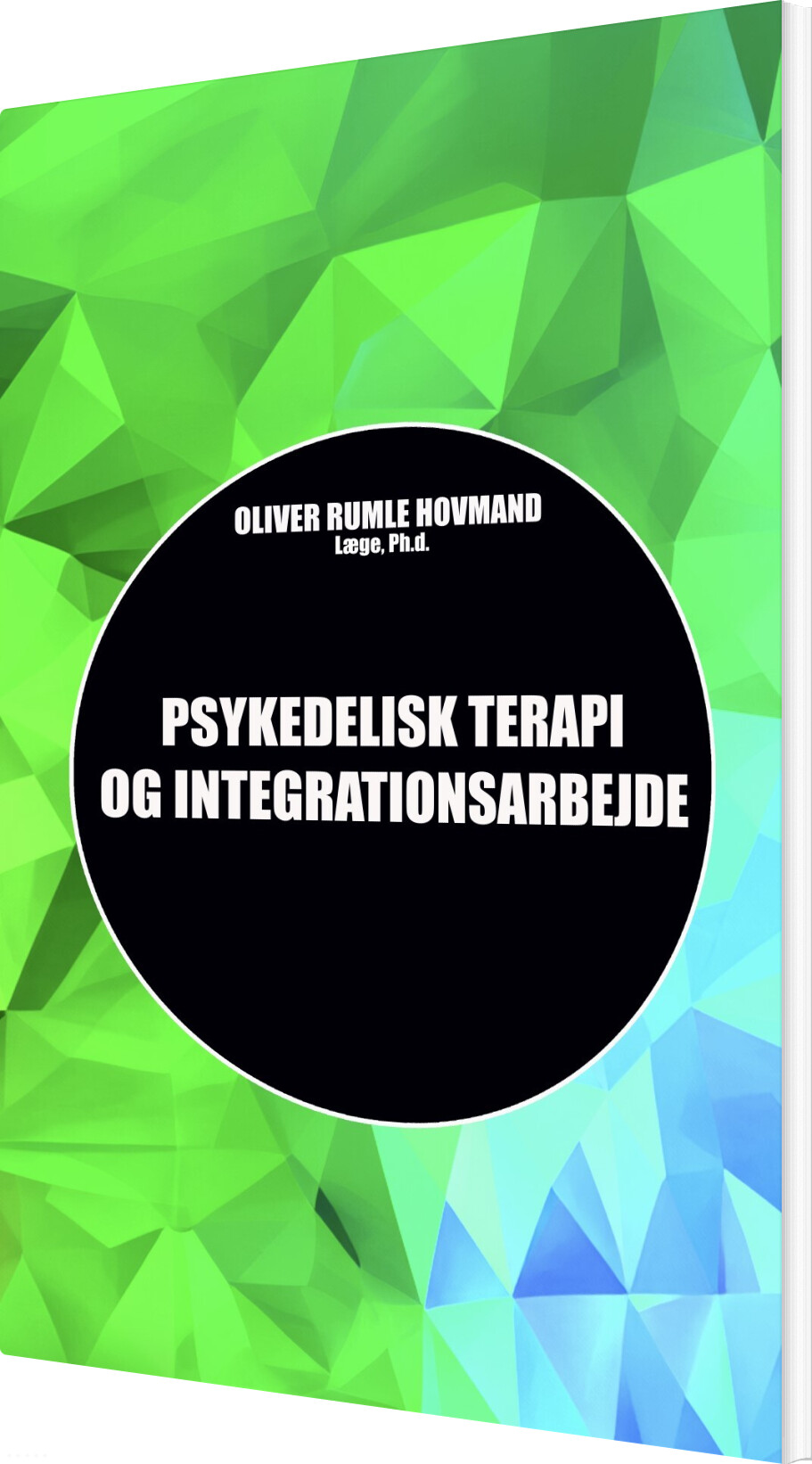Psykedelisk Terapi Og Integrationsarbejde - Oliver Rumle Hovmand - Bog