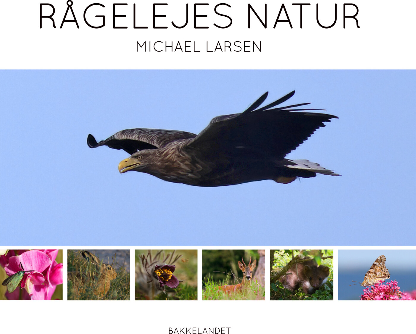 Billede af Rågelejes Natur - Michael Larsen - Bog