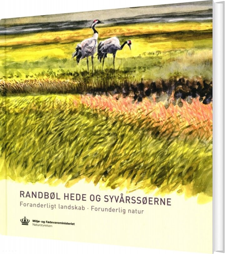 Billede af Randbøl Hede Og Syvårssøerne - Gert Hougaard Rasmussen - Bog
