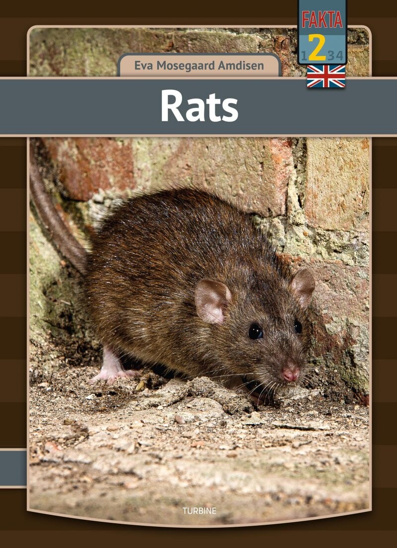 Billede af Rats - Eva Mosegaard Amdisen - English Book
