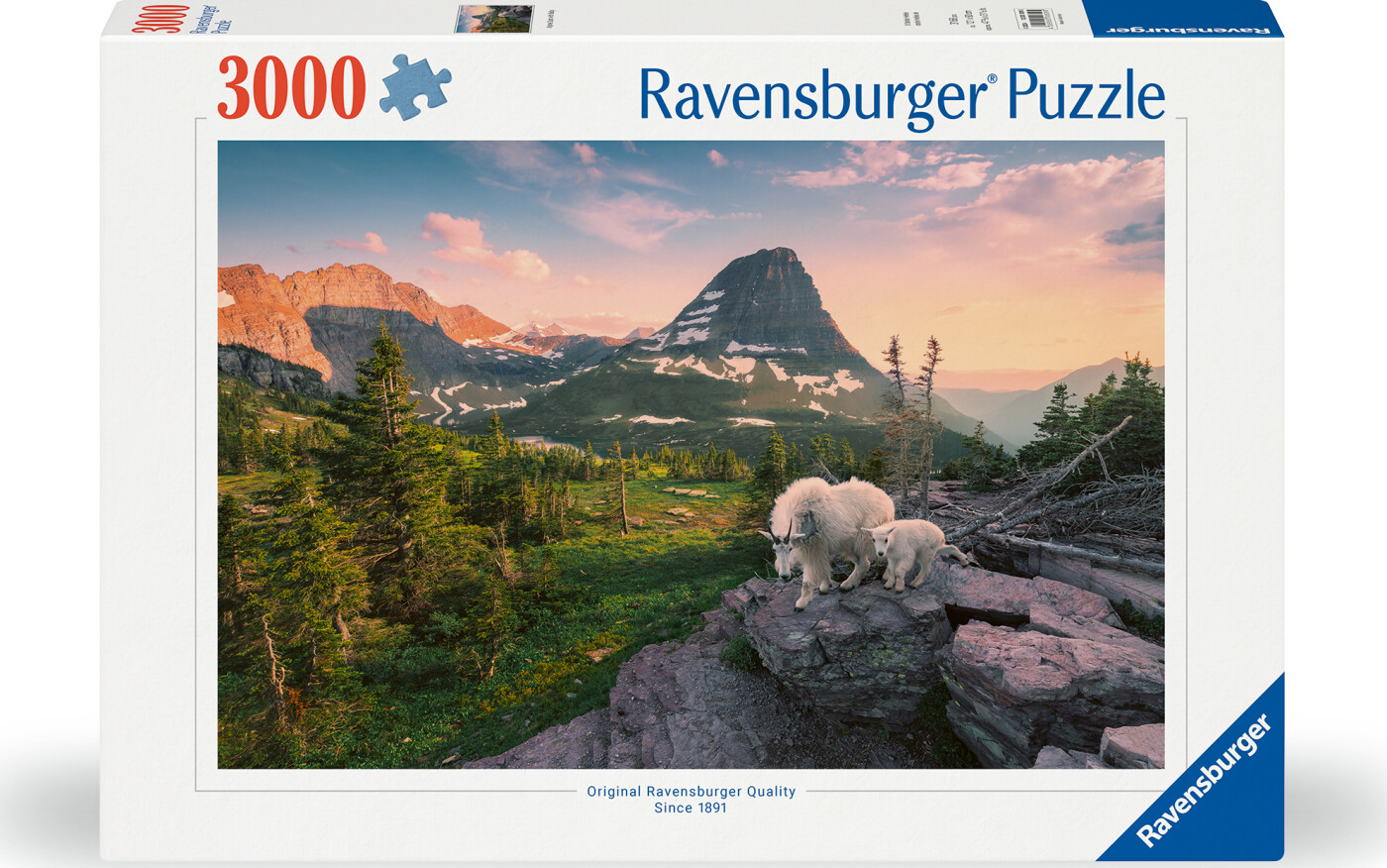 Ravensburger - Puslespil Foto City Landscape 3000 Brikker