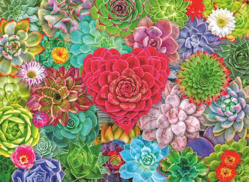 Ravensburger - Succulent Love - 500 Brikker