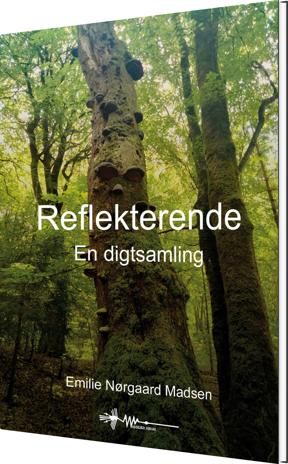 Billede af Reflekterende - Emilie Nørgaard Madsen - Bog