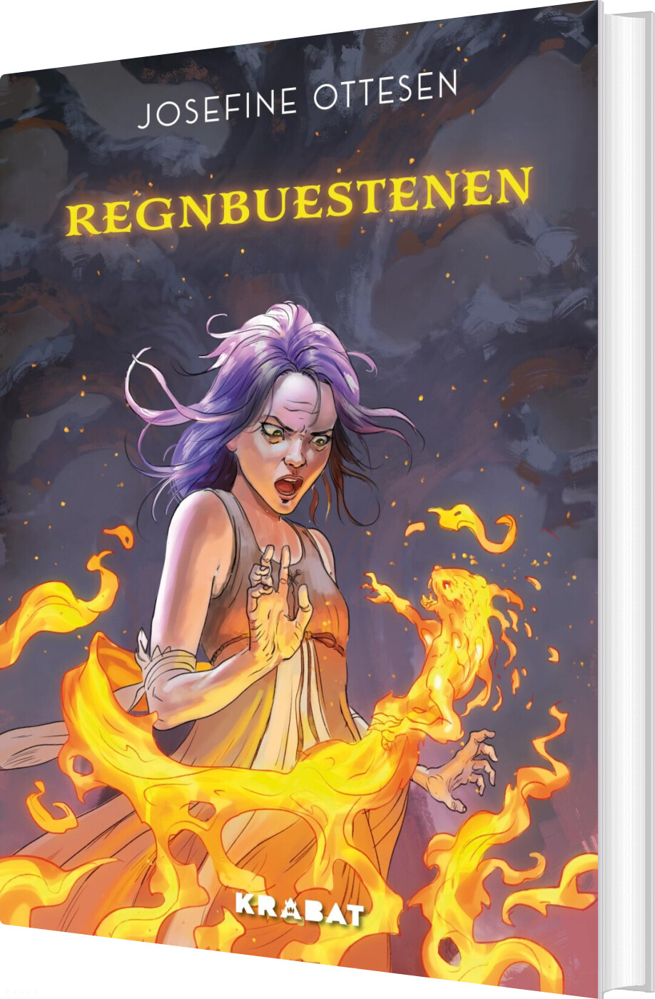 Billede af Regnbuestenen - Josefine Ottesen - Bog
