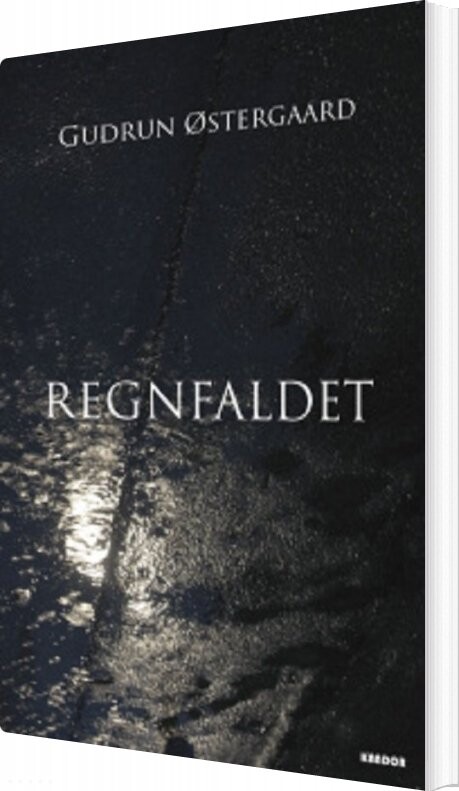 Billede af Regnfaldet - Gudrun østergaard - Bog