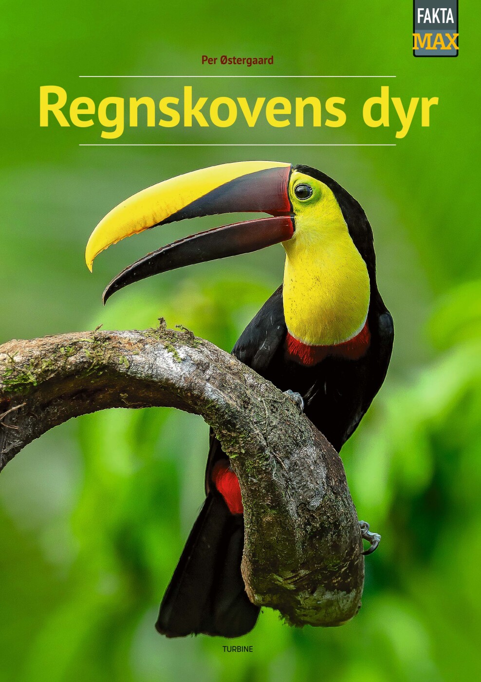 Regnskovens Dyr - Per østergaard - Bog