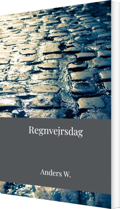 Billede af Regnvejrsdag - Anders W - Bog
