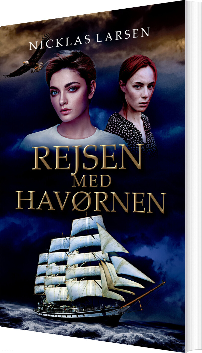 Billede af Rejsen Med Havørnen - Nicklas Larsen - Bog