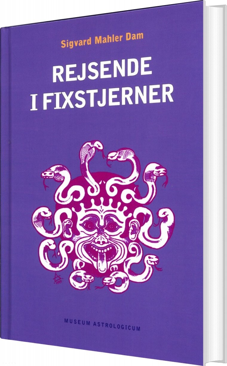 Billede af Rejsende I Fixstjerner - Sigvard Mahler Dam - Bog