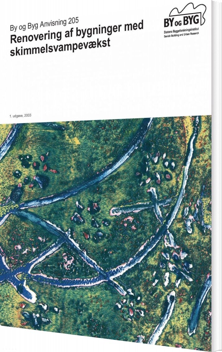By Og Byg Anvisning 205 - Renovering Af Bygninger Med Skimmelsvampevækst - Anne Pia Koch - Bog
