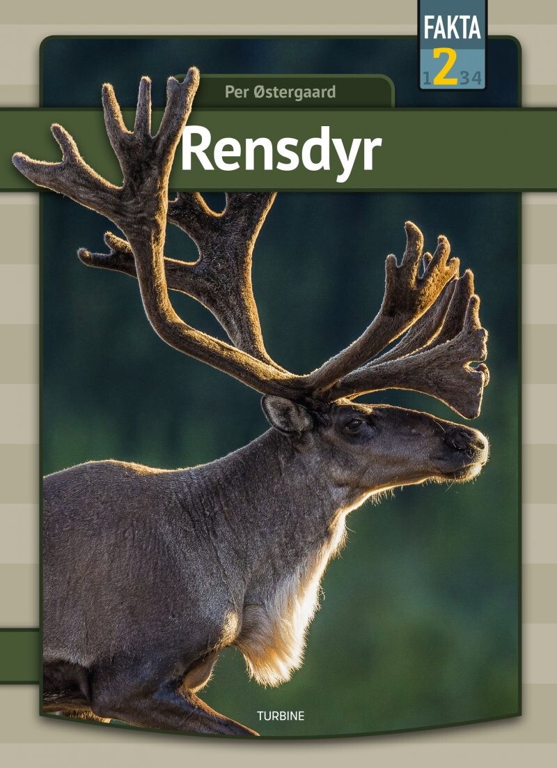 Rensdyr - Per østergaard - Bog