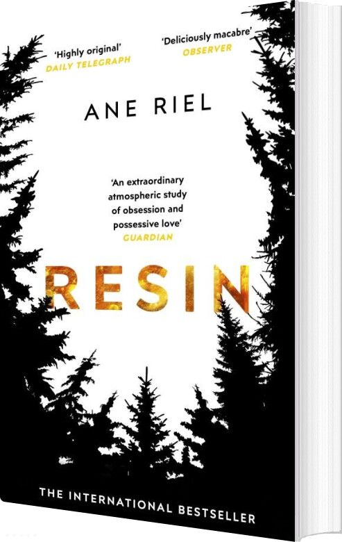 Resin - Ane Riel - English Book