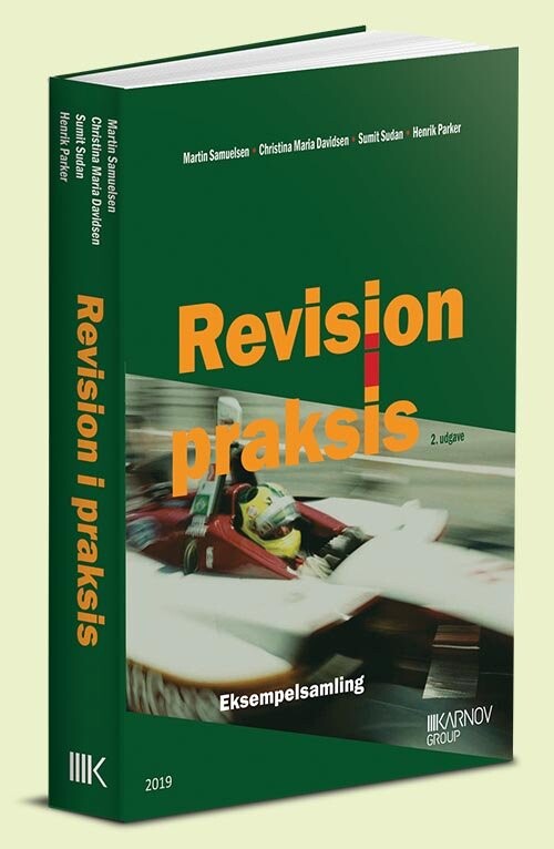 Revision I Praksis - Eksempelsamling - Christina Maria Davidsen - Bog