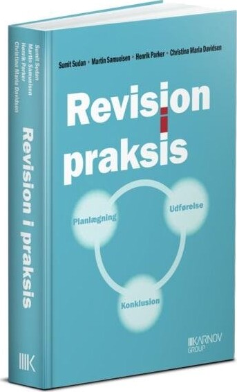 Revision I Praksis - Planlægning, Udførelse, Konklusion - Christina Maria Davidsen - Bog