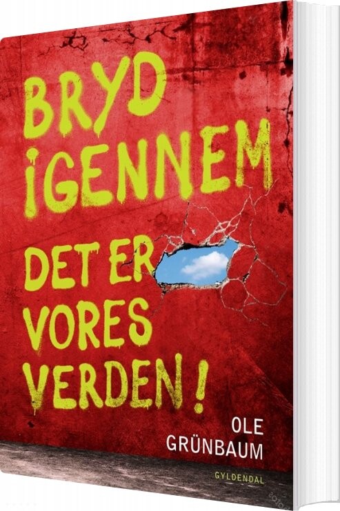 Bryd Igennem - Ole Grünbaum - Bog