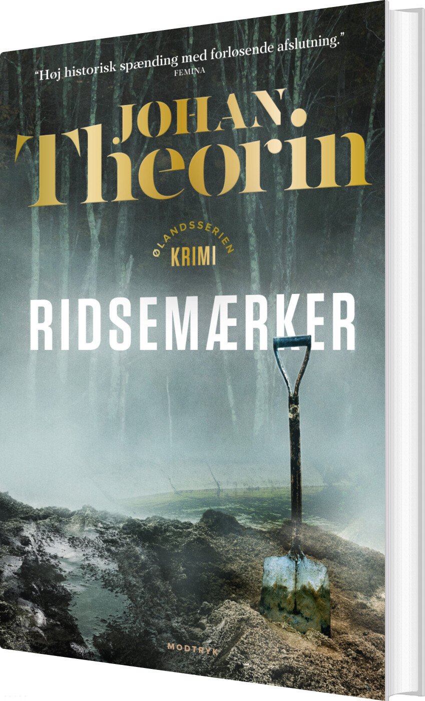 Ridsemærker - Johan Theorin - Bog