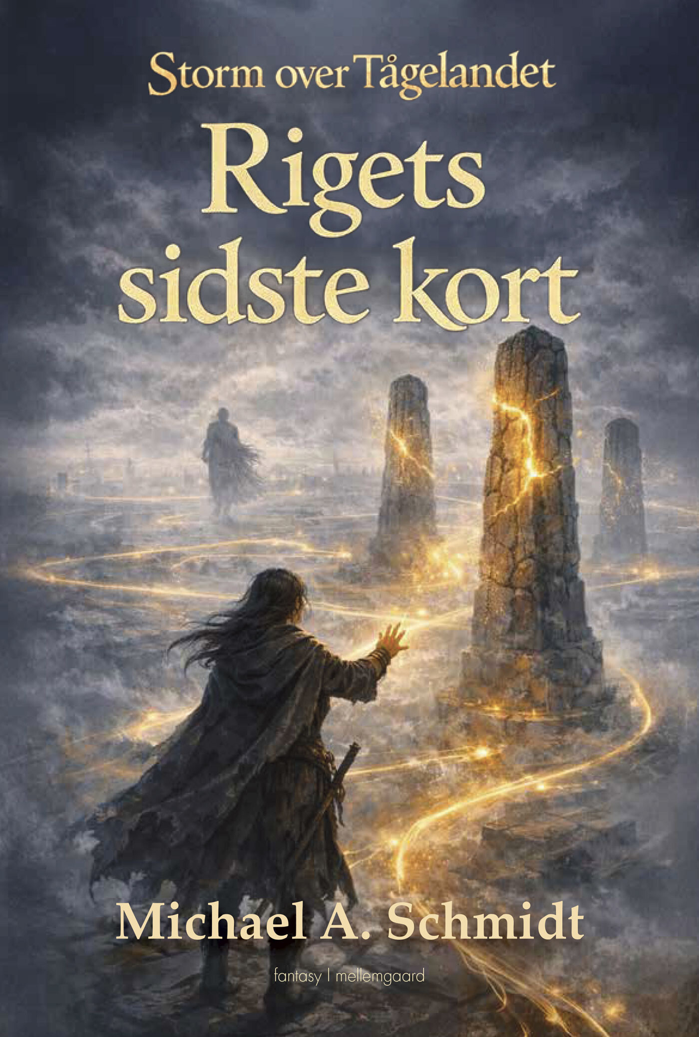 Rigets Sidste Kort - Michael Arleth Schmidt - Bog
