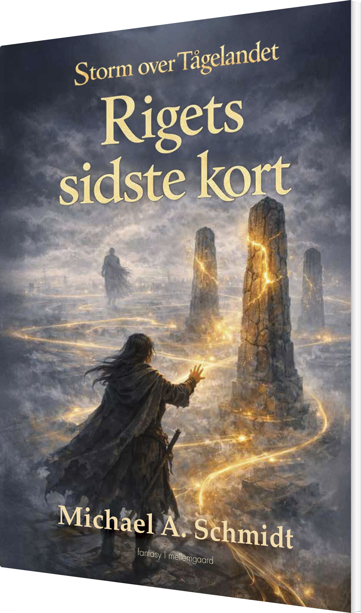 Rigets Sidste Kort - Michael Arleth Schmidt - Bog - Mellemgaard