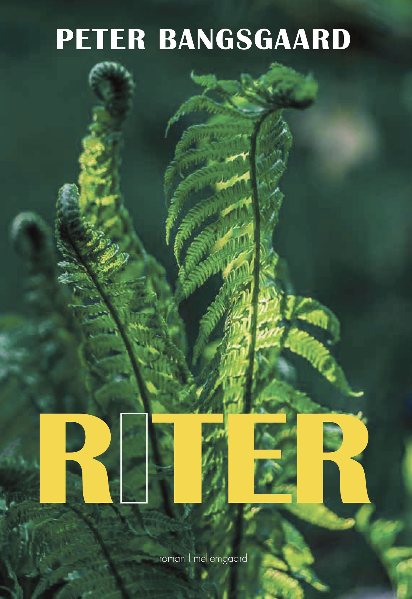 Riter - Peter Bangsgaard - Bog