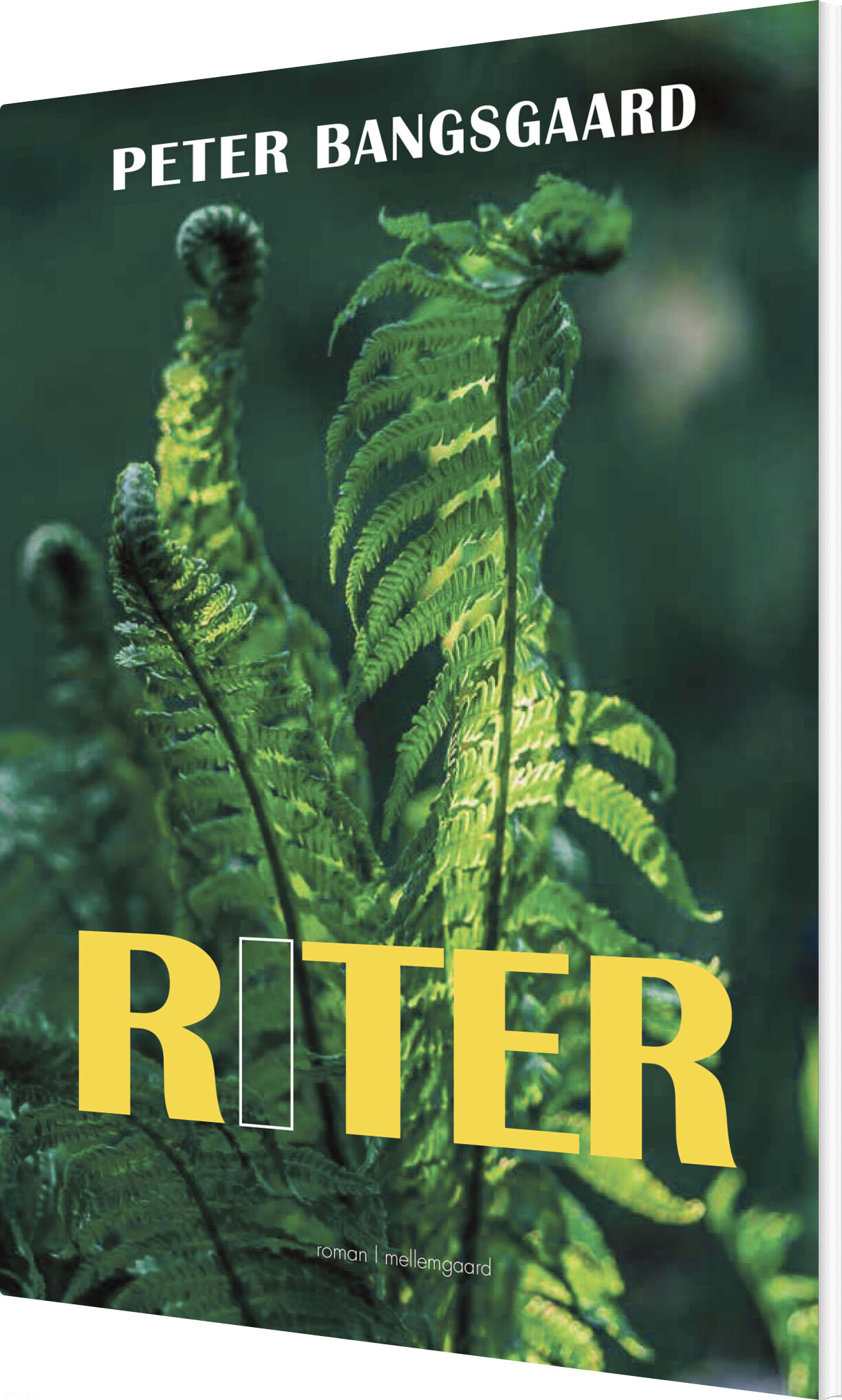 Riter - Peter Bangsgaard - Bog