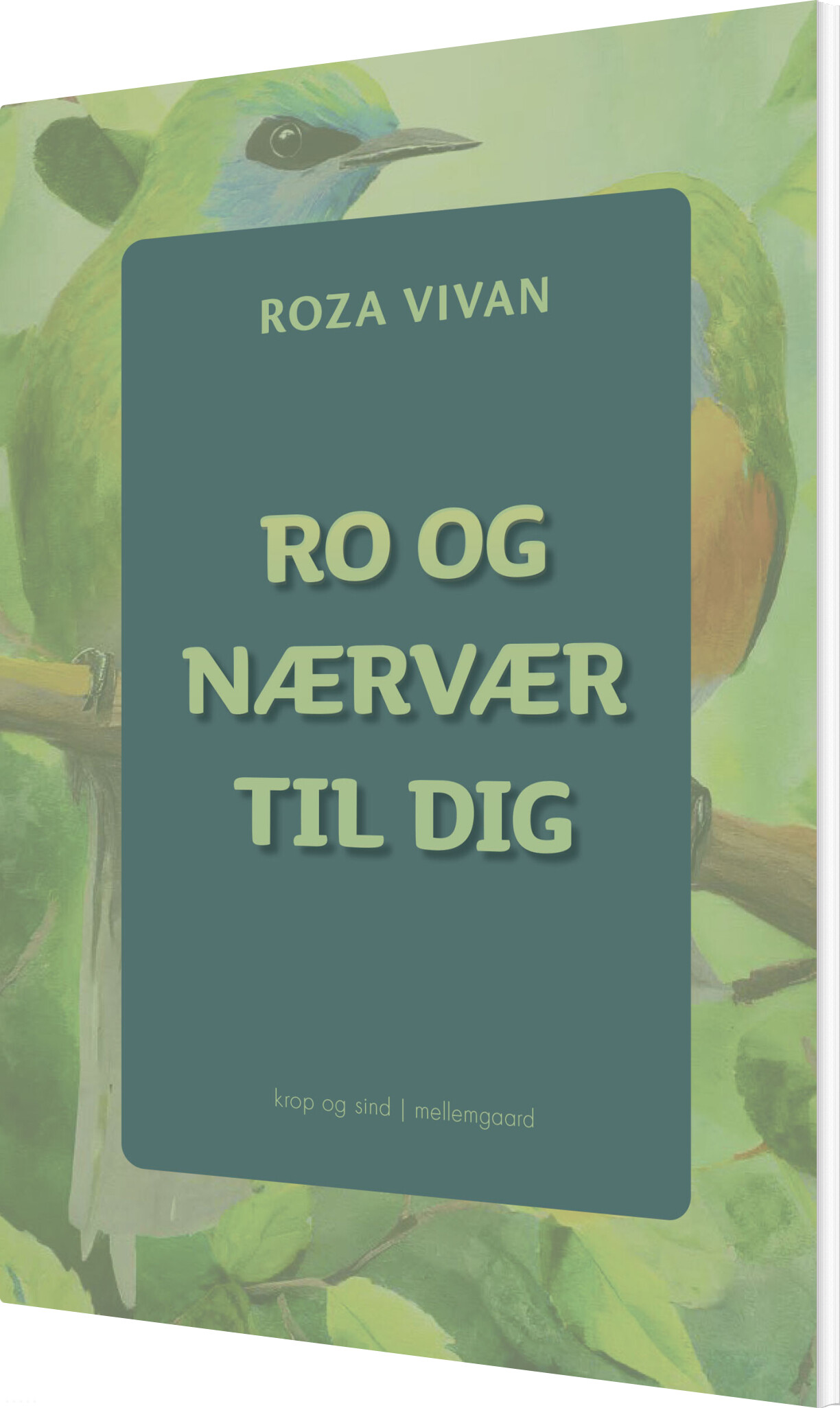 Ro Og Nærvær Til Dig - Roza Vivan - Bog