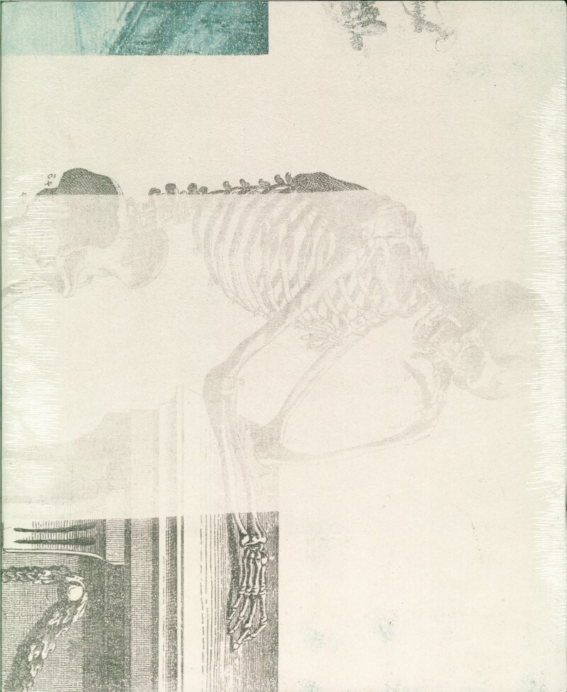 Billede af Robert Rauschenberg, Lurid Attack - Jens Faurschou - Bog
