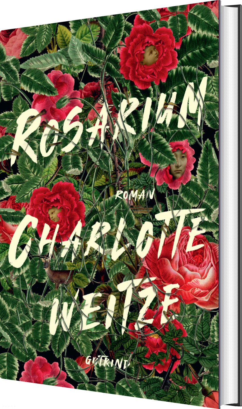 Rosarium - Charlotte Weitze - Bog