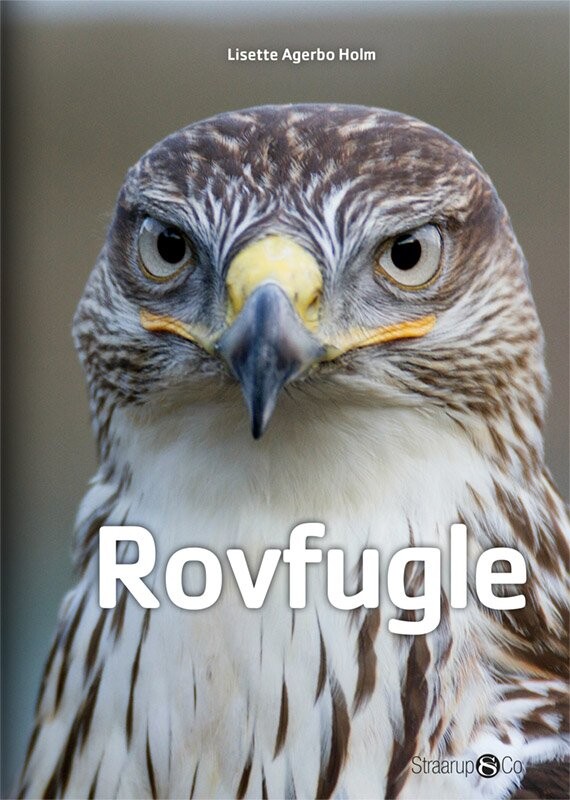 Rovfugle - Lisette Agerbo Holm - Bog - Straarup & Co