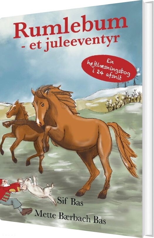 Billede af Rumlebum - Mette Bærbach Bas - Bog