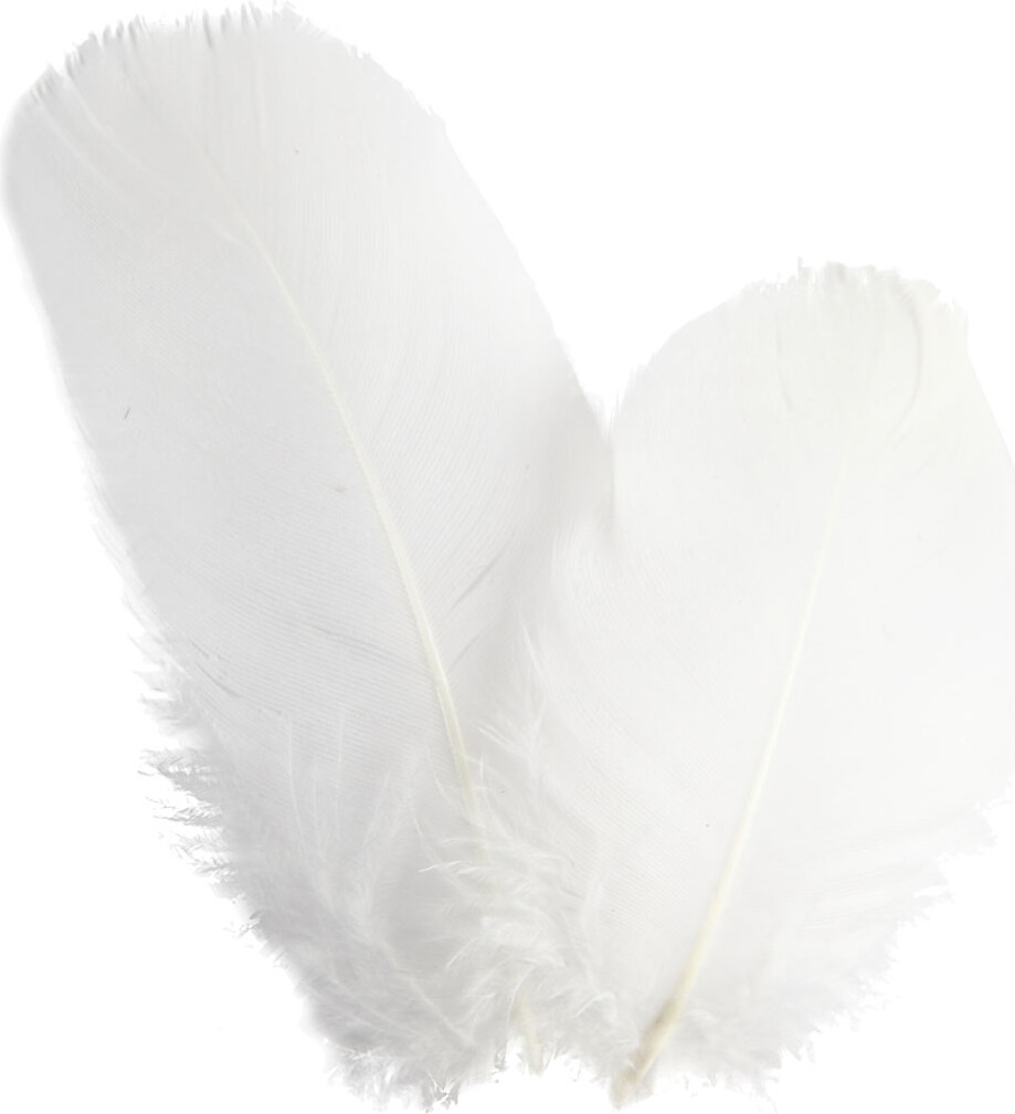 Rundfjer - Gås - L 5-8 Cm - Hvid - 3 G billede