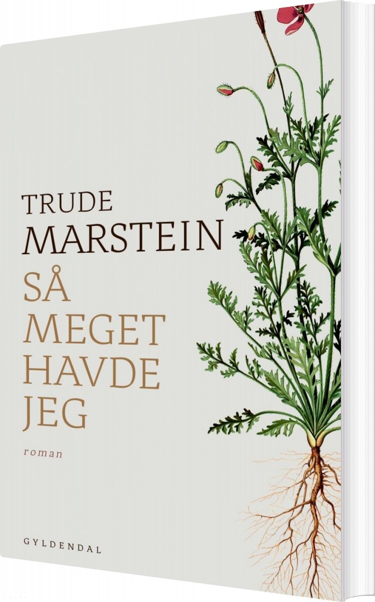 Billede af Så Meget Havde Jeg - Trude Marstein - Bog