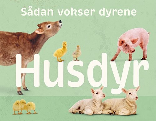 Billede af Sådan Vokser Dyrene: Husdyr - Flachs - Bog hos Gucca.dk