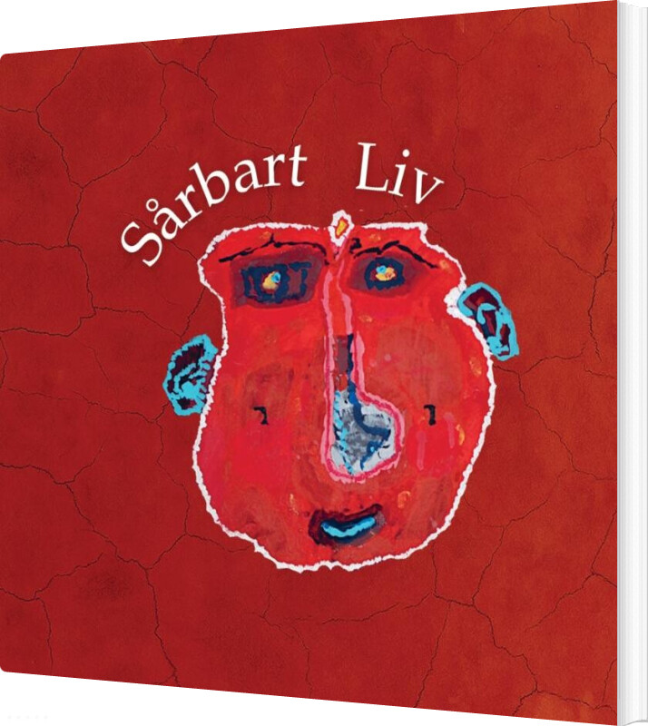 Sårbart Liv - Viktor Salquist Stille - Bog