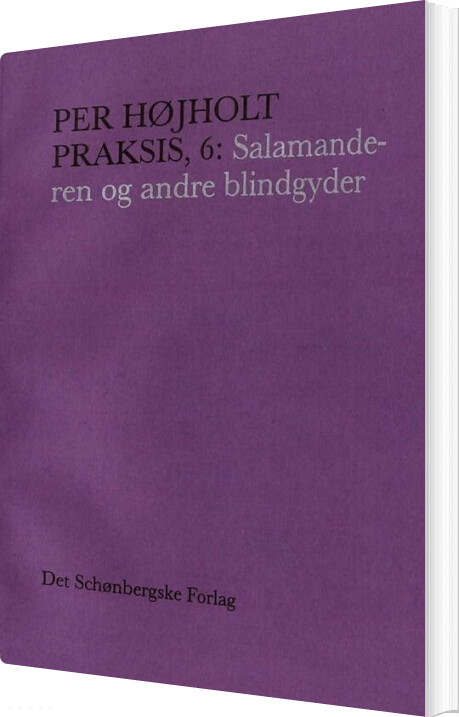 Praksis, 6: Salamanderen Og Andre Blindgyder - Per Højholt - Bog