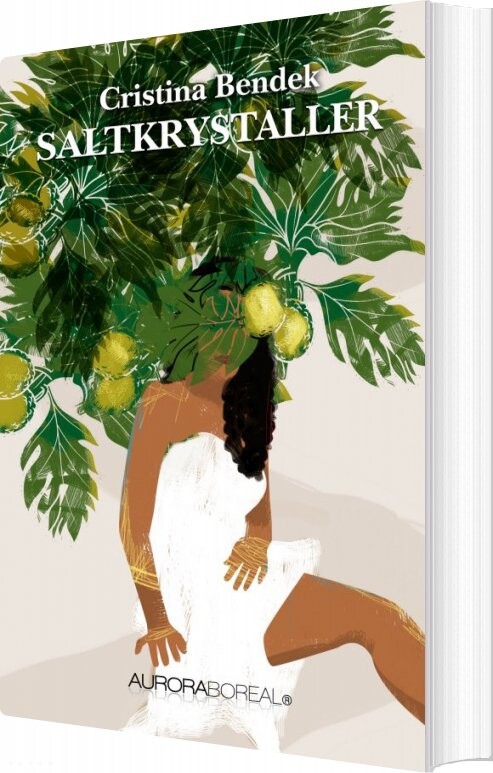 Billede af Saltkrystaller - Cristina Bendek - Bog